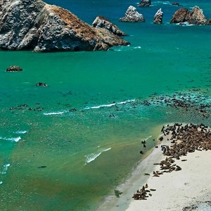 Avistamiento de fauna en Paracas - Promperu