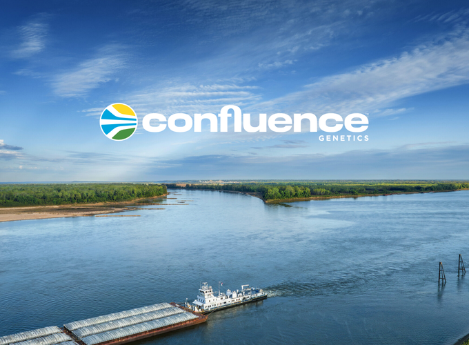 COnfluence