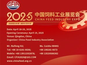 China_Feed_Show_300x250.width-400