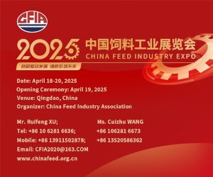 China_Feed_Show_300x250.width-400