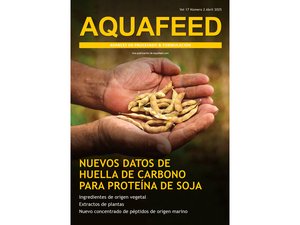 Cover Spanish