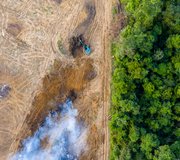 Deforestation_shutterstock_1274894119(1)