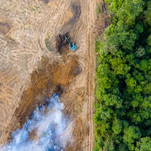 Deforestation_shutterstock_1274894119(1)