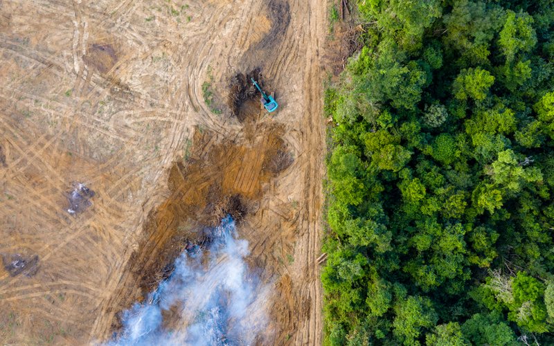 Deforestation_shutterstock_1274894119(1)