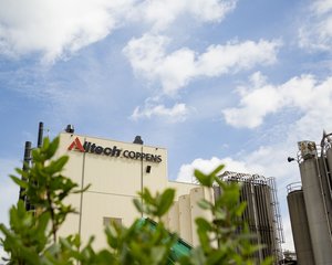 Digital_JPG-Alltech-Coppens-Plant-118
