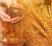 Ingredients_shutterstock_2159761079