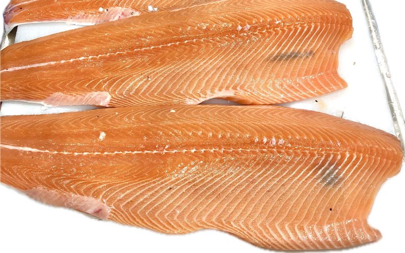 Melanin on salmon 1, courtesy Turid Mørkøre