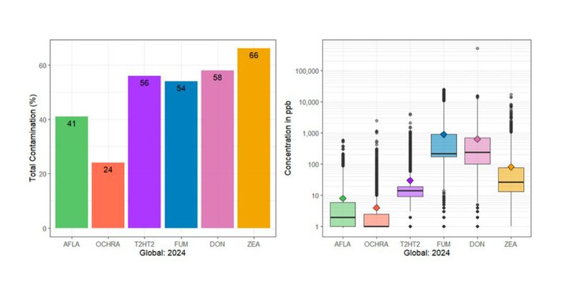 Mycotoxin chart2