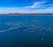 Offshore Fish Farm
