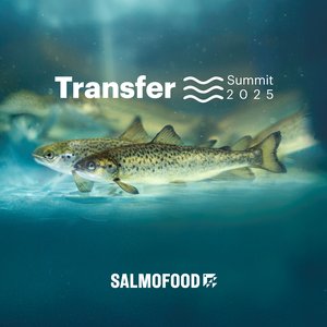 Transfer Summit 2025