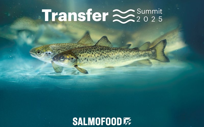 Transfer Summit 2025
