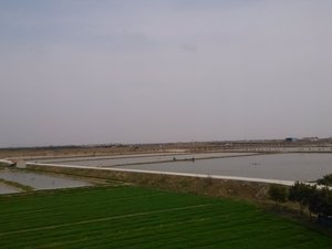 Zhihua_China fish farm